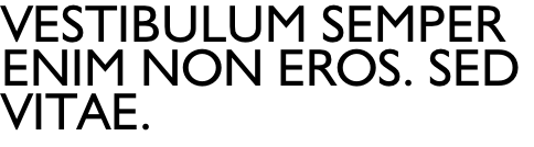 Vestibulum semper  enim non eros. Sed  vitae.